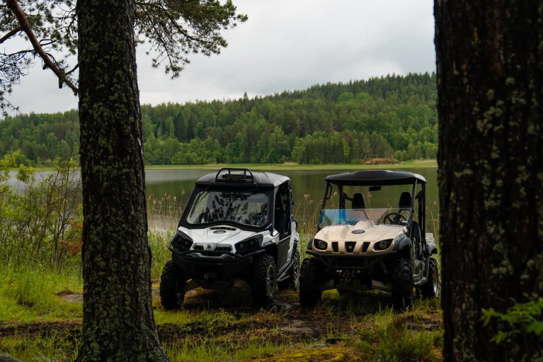 Buggy ride